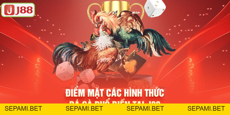 Đá Gà J88 - Nơi Hội Tụ Các Trận Đấu Đỉnh Cao Cho Các Sư Kê - SEPAMI