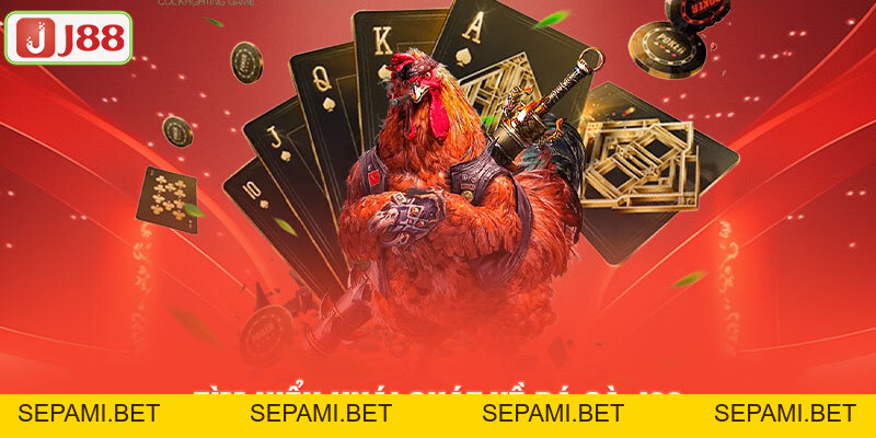 Đá Gà J88 - Nơi Hội Tụ Các Trận Đấu Đỉnh Cao Cho Các Sư Kê - SEPAMI