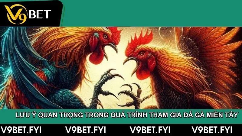 Đá gà miền tây – Truyền thống và đam mê của người dân Nam Bộ - SEPAMI