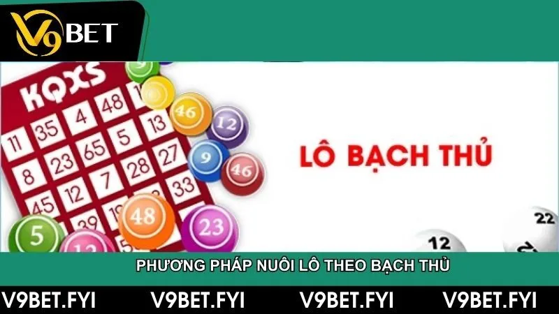 Đề về 32 hôm sau đánh lô gì? Phân tích và dự đoán chính xác - SEPAMI