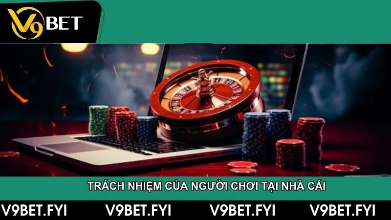 Điều khoản điều kiện - SEPAMI