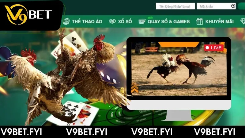 Tìm hiểu chi tiết hình thức đá gà trên casino cùng V9bet - SEPAMI