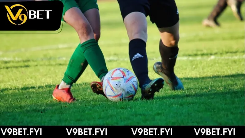 Giải thích kèo thơm là gì? Nhận định hiệu quả cùng V9bet - SEPAMI