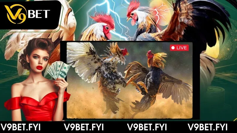 Tìm hiểu chi tiết hình thức đá gà trên casino cùng V9bet - SEPAMI