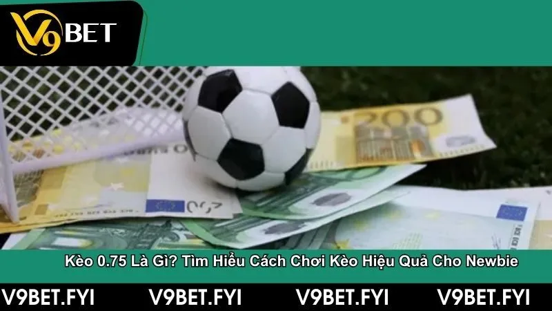 Thể thao - SEPAMI