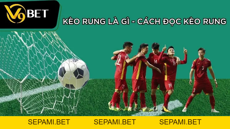 Giải đáp kèo rung là gì và cách đọc chuẩn xác cùng V9bet - SEPAMI