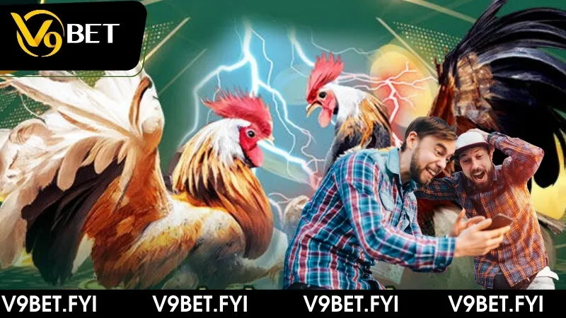 Trận đấu gà đá cựa sắt - Hấp dẫn và thưởng lớn tại V9bet - SEPAMI