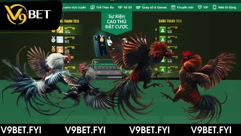 Tìm hiểu chi tiết hình thức đá gà trên casino cùng V9bet - SEPAMI